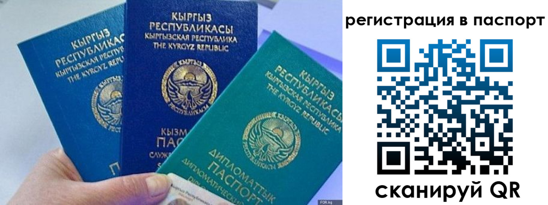 прописка 2025 в Заринске
